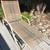 Lawn/Beach/lounge/Camping Chairs 4 thumbnail