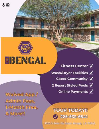 Air Conditioner, Walk to Campus, Carpet & Tile Floors 1
