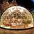 Geodesic Dome - Gardenigloo V2  – $800 (Emeryville) 7 thumbnail