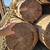 27 pine logs 17 thumbnail