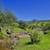 37 Acre Build-Ready Ranch -Well, Power & Septic - Owner Says Sell! 1 thumbnail