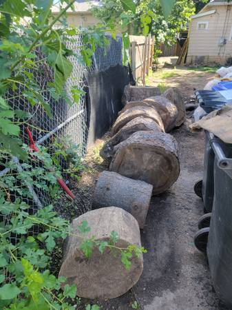 Free firewood 1