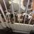 Pups 2 thumbnail