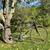 Vintage Trek 2100 pro carbon flat bar road bike 1 thumbnail