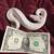 Ball Python 1 thumbnail