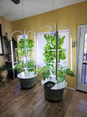 Tower Garden 1