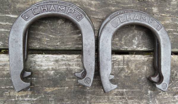 4 Champ Horseshoes 1