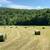 2025 Hay bales - Horse Quality 1st cutting 1 thumbnail