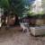 Lovely Studio/1Ba,Sunny,Open Sky Views, Hardwd, Lg.Closet 14 thumbnail