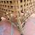 VINTAGE FONG BROTHERS - OUTDOOR LEATHER/RATTAN PATIO CHAIRS W/CASTERS 4 thumbnail