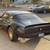 1981 Pontiac Firebird Trans Am Turbo Bandit Edition Coupe SKU:AA1059 7 thumbnail