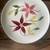 Vintage Del Coronado Flower Motif 54 Piece Coupe Dinnerware Set USA 14 thumbnail