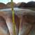 New Solid Hammered Copper Corner Sink 13 thumbnail