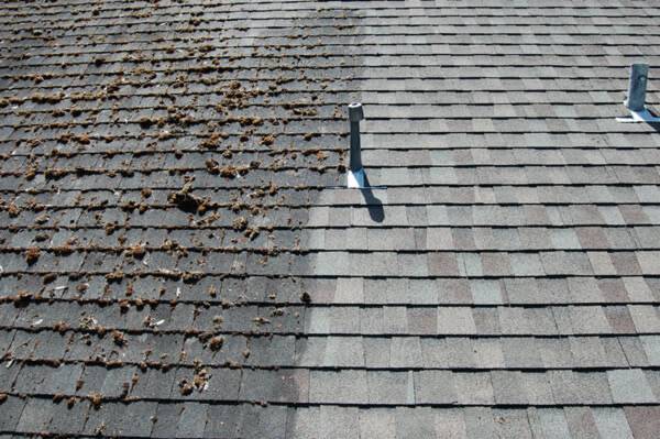 ROOF & GUTTER CLEANING 1