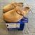 Brand New Birkenstock Boston Suede Leather Mink Clogs Sandals All Size 1 thumbnail