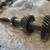 AE86 T50 transmission core with 4AG bell housing 1 thumbnail