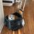 DOG COZY CRUISER FOR AIRLINES PET CARRIER 1 thumbnail