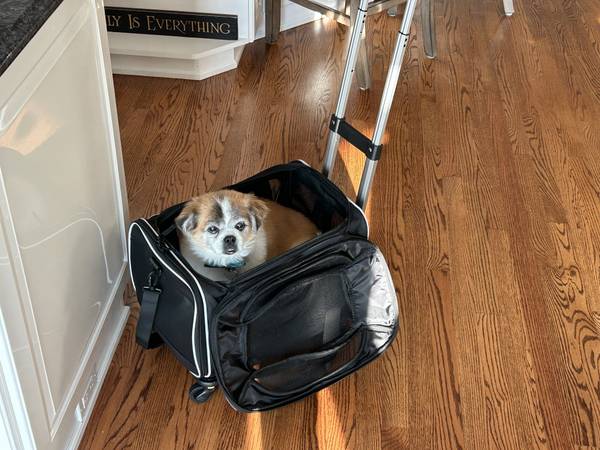 DOG COZY CRUISER FOR AIRLINES PET CARRIER 1