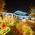 ✨ Transform Your Home with Professional Holiday Lighting FREE QUOTES 6 thumbnail