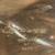 1950's HAND CHASED Silver Estate PunchBowl/Ladle 3 thumbnail