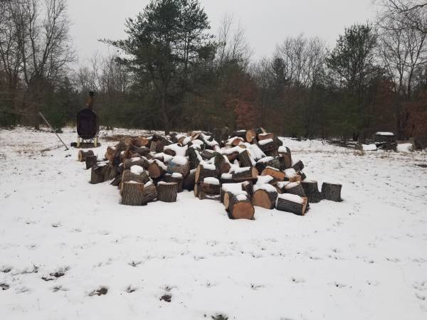 Oak firewood 1