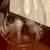 VINTAGE ETCHED GLASS SHADE 2 thumbnail
