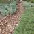 ******Mike's Landscaping Installations & Design********* 4 thumbnail