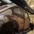 1957 Oval Beetle Bug VW shell on titled 1969 pan 3 thumbnail