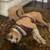 EXPERIENCED DOG HANDLERS, PAID OPPORTUNITY TO DOG FOSTER! SAVE A LIFE! 2 thumbnail