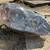 2004-2008 Toyota Corolla brand new headlights 4 thumbnail