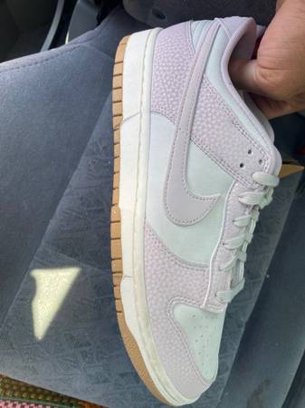 Nike Dunks 1