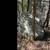 "MY ROCK" 2 thumbnail