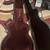 1997 Westerly Made Guild Starfire IV, Cherry Finish, w/ Guild HSC 11 thumbnail