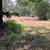 17.6 acres 1 thumbnail