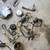 80 suzuki GS1100L for parts project bike + extra parts chopper bobber 11 thumbnail