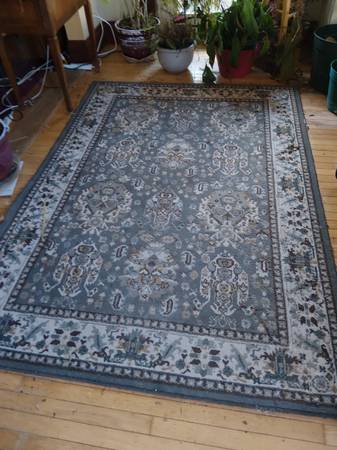 6 by 8 rug 1