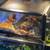 Live Eastern painted Turtle 2 thumbnail
