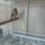 Birds/ canaries 3 thumbnail
