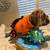 English bulldog puppy …female 5 thumbnail