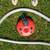 Aqua Bug Automatic Pool Cleaner 1 thumbnail