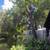 TREE TRIM/ TREE REMOVAL call now 18 thumbnail