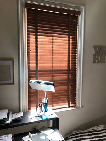 $2,000 / 325ft2 - Charming studio in the heart of central square (Cambridge)63912518128770123
