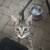 Rehoming Kittens 12 thumbnail