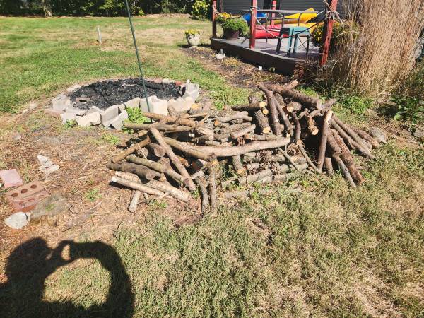 free camp fire wood 1