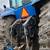 2006 New Holland TG285 Tractor – Duals, Weights, 8,200 Hrs 3 thumbnail