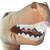 Vintage Applause T-Rex On A Stick With Sound Plush Toy 3 thumbnail