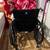 Brand new Medline 20” K3 Height Adjustable Wheelchair with Swing-Back Desk-Len 9 thumbnail