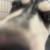 Husky Siberian and Alaskan 1 thumbnail