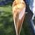 16 Foot Cedar Strip Canoe 7 thumbnail