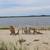 Magical Beachfront Property...one of a kind on Nantucket! 7 thumbnail